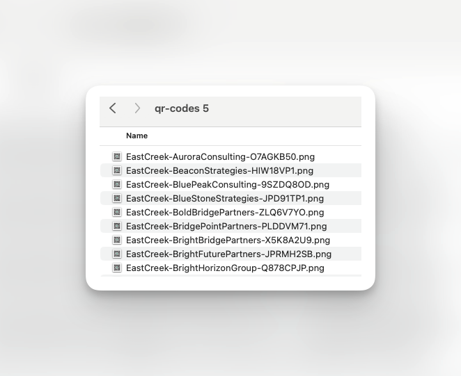 Example of QR code file names